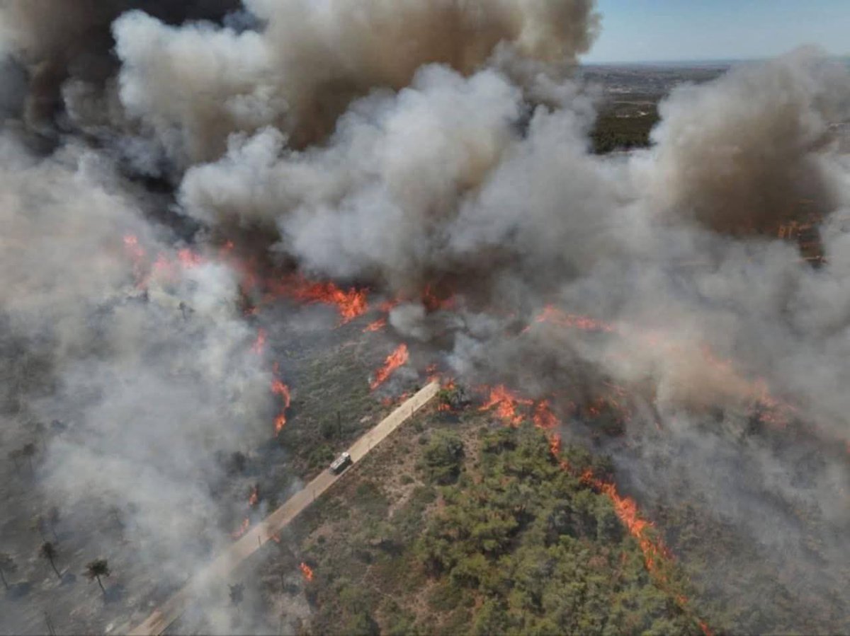 حرائق الساحل اليوم دمرت مساحة هائلة تبلغ 5 600 هكتار – تعادل 560 ملعب كرة قدم ، أو 2.4٪ من محافظة اللاذقية أصبح رماد .. والكارثة مستمرة

إذا لم تُحاصر النيران، فقد تدخل سوريا في كارثة بيئية وإنسانية واقتصادية شاملة، لا تقل خطورة عن آثار الحرب نفسها

#الساحل_السوري