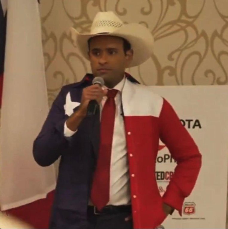 Average supporter of Elon Musk's "America Party"
