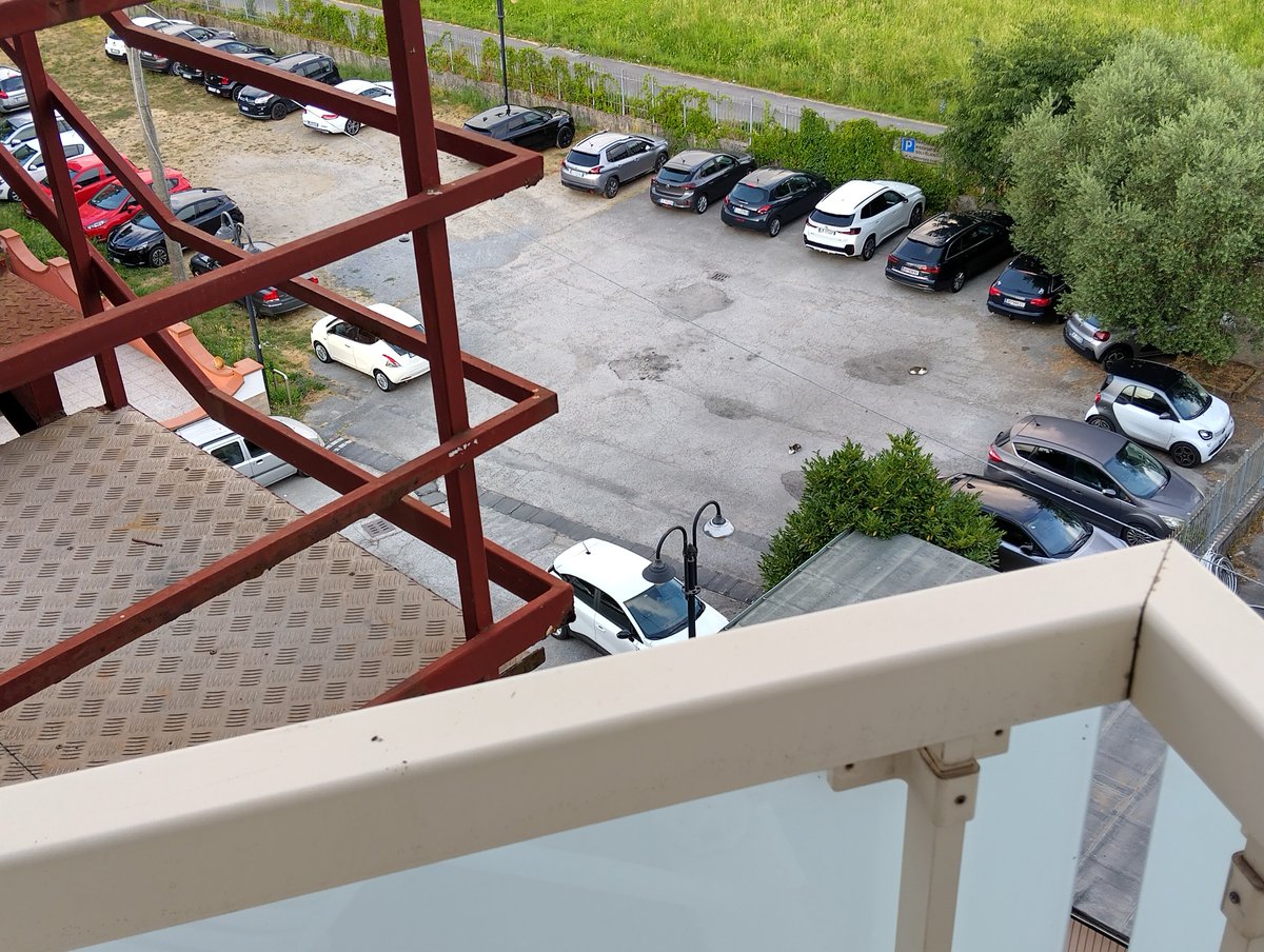 ready for Paupergeddon Day2. There are 3 cats in the parking lot in front of my room 😳