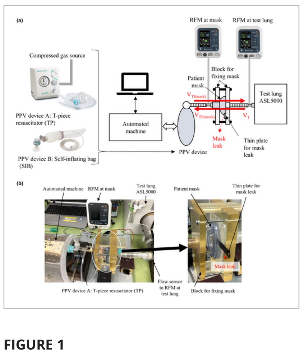 JAPANicu's tweet image. Takatori, et al. investigated the differences between tidal volume and airway pressure measured by a respiratory function monitor and the actual values delivered to the lungs in scenarios involving mask leaks.
onlinelibrary.wiley.com/doi/10.1111/pe…
#neotwitter