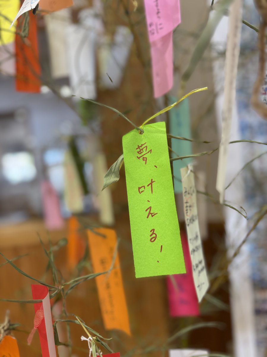 おおぞら高校 屋久島本校 tweet media