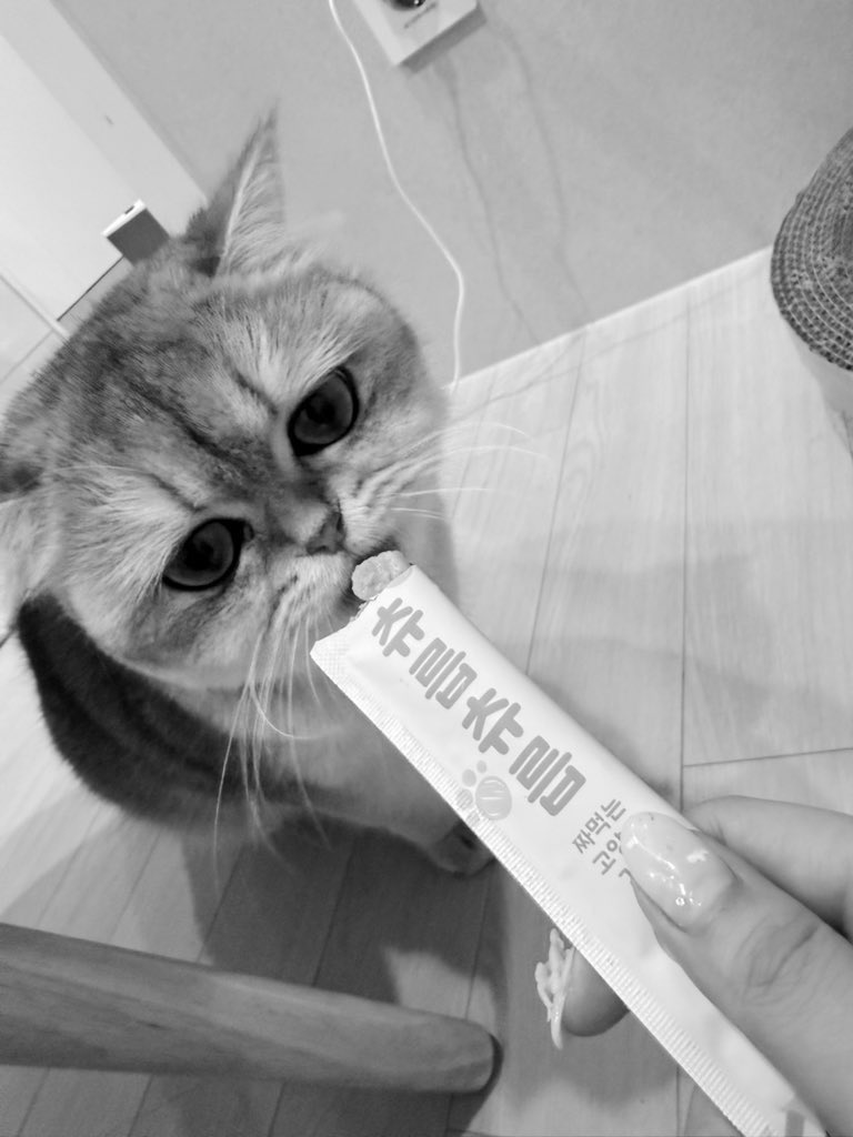 츄릅츄릅먹는
우리 애깅 ㅠ