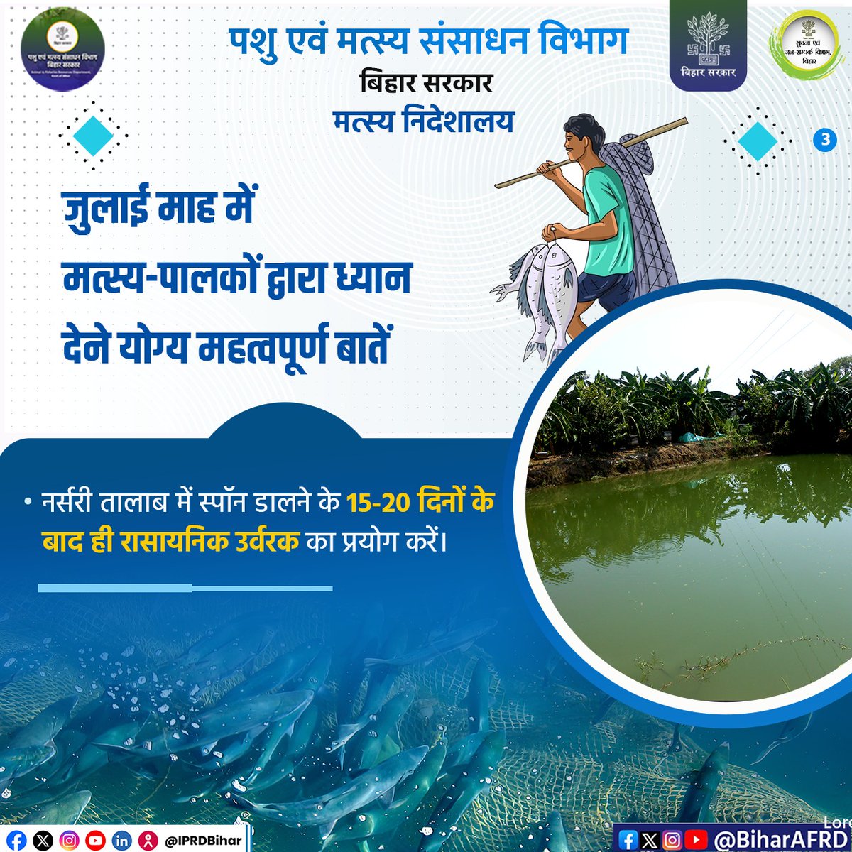 Animal & Fisheries Resources Dept., Bihar (@biharafrd) on Twitter photo जुलाई माह में मत्स्य पालकों द्वारा ध्यान देने योग्य बातें।
<a href="/Agribih/">Agriculture Department, Govt. of Bihar</a>
<a href="/Dept_of_AHD/">Dept of Animal Husbandry & Dairying, Min of FAH&D</a>
<a href="/HorticultureBih/">Directorate Of Horticulture, Deptt of Agri, Bihar</a>
<a href="/IPRDBihar/">IPRD Bihar</a>
<a href="/renu_bjp/">Renu Devi 🇮🇳</a>
<a href="/vijayaias/">nvijayalakshmi</a>
#comfed #dairy #pashupalak #fish #fisheries #BiharAnimalAndFisheriesResourcesDept जुलाई माह में मत्स्य पालकों द्वारा ध्यान देने योग्य बातें।
<a href="/Agribih/">Agriculture Department, Govt. of Bihar</a>
<a href="/Dept_of_AHD/">Dept of Animal Husbandry & Dairying, Min of FAH&D</a>
<a href="/HorticultureBih/">Directorate Of Horticulture, Deptt of Agri, Bihar</a>
<a href="/IPRDBihar/">IPRD Bihar</a>
<a href="/renu_bjp/">Renu Devi 🇮🇳</a>
<a href="/vijayaias/">nvijayalakshmi</a>
#comfed #dairy #pashupalak #fish #fisheries #BiharAnimalAndFisheriesResourcesDept
