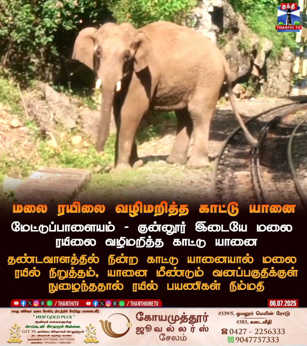 ThanthiTV's tweet image. மலை ரயிலை வழிமறித்த காட்டு யானை 

மேட்டுப்பாளையம் - குன்னூர் இடையே மலை 
ரயிலை வழிமறித்த காட்டு யானை

தண்டவாளத்தில் நின்ற காட்டு யானையால் மலை ரயில் நிறுத்தம், யானை மீண்டும் வனப்பகுதிக்குள் நுழைந்ததால் ரயில் பயணிகள் நிம்மதி

#Mettupalayam #elephant #TRAINissue