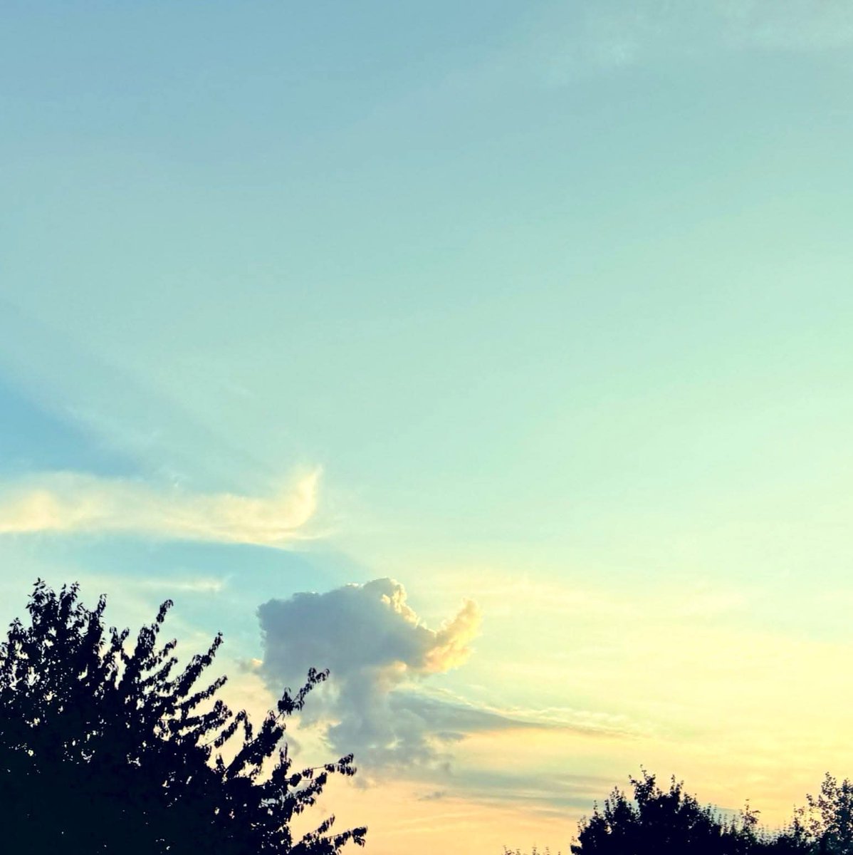 حبيت أوثق لحظة أن الجو حلو النهارده والهوا جميل وده حاجه جميله ما حصلتش من شهريين
يسعد صباحكم 🤍