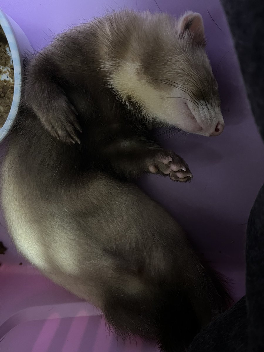 QuasarXP (ABANDONED) tweet media