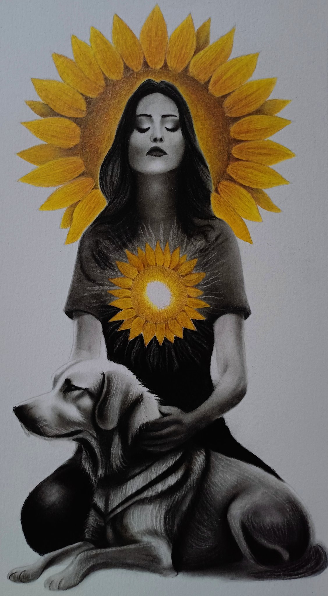 Sahar.NFT on X: 