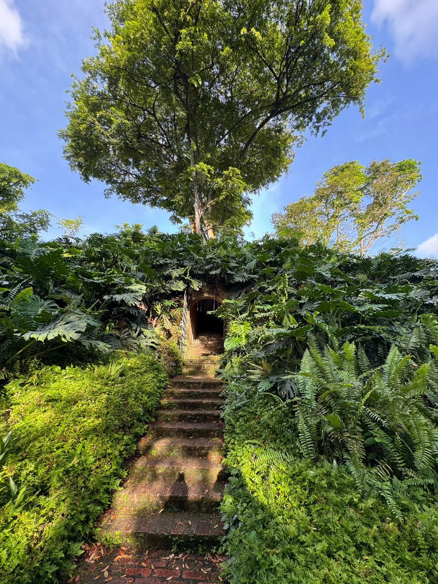 City Center | Museum | Nature Park
Life is a collection of experiences, and through the journey, we learn.
With Bybit, we listen, care, and improve,
hoping to enrich your journey with vibrant and fruitful moments.

市中心 | 博物馆 | 自然公园