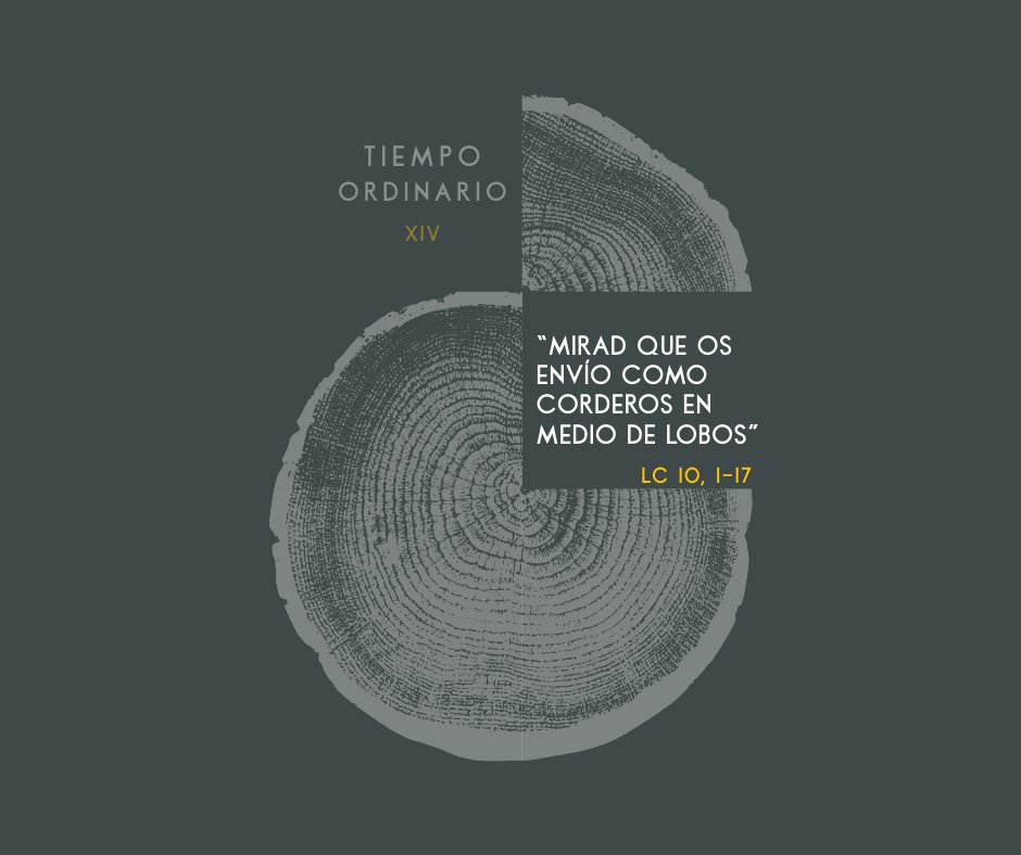 Jesús nos dice, sin rodeos, que seguirle no es fácil. Apostar por una vida con Jesús es estar dispuestos a ir a contracorriente. Muchos no nos entenderán y otros tantos incluso se reirán. Pero este camino de plenitud es apasionante…y tú, ¿caminas con Jesús?