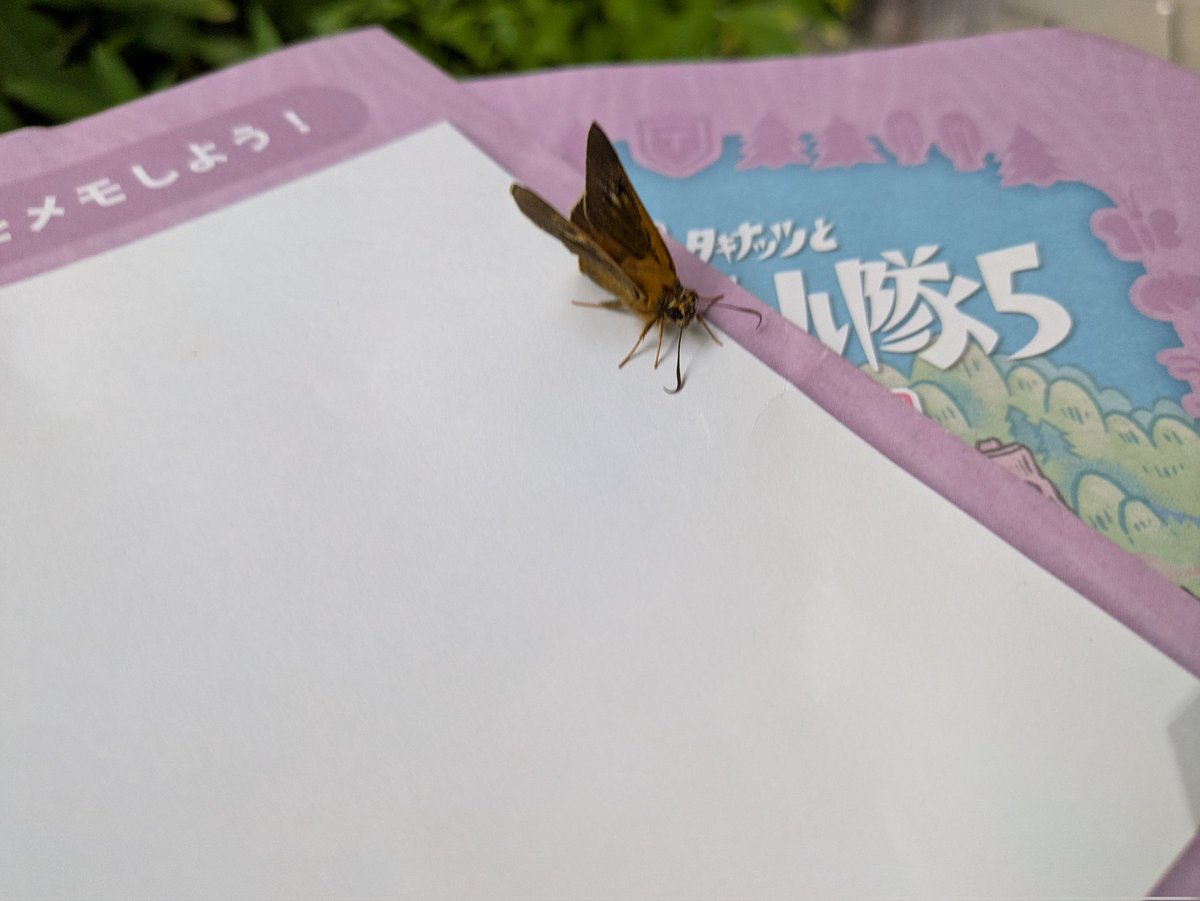 ぱおちゃ tweet media