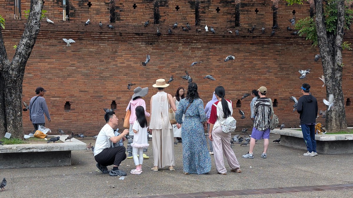 鳩を獲付けて、羽ばたかせた瞬間に写真を撮るInstagramer