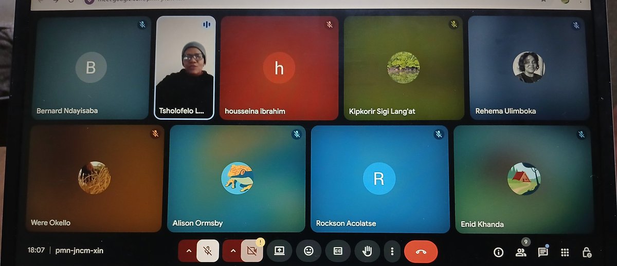 The 7th Phase of SCB-AR E-mentoring program held its first kick off online meeting on 1st July 2025. The meeting was a golden opportunity for the mentors and mentees to meet after they have been paired. A brief overview of the program was shared by the coordinator Dr. Tsholofelo.