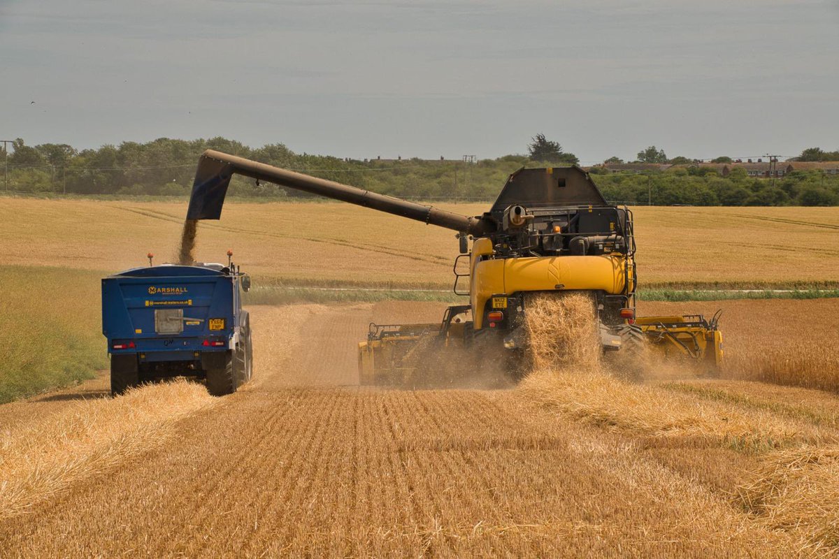 Harry Conner (@harryconner1) on Twitter photo 