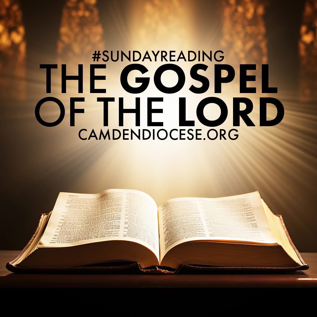 “The harvest is abundant but the laborers are few...” - Luke 10:2
Fourteenth Sunday in Ordinary Time
#GospelOfTheDay Luke 10:1-9
#SundayThoughts #MissionaryDiscipleship