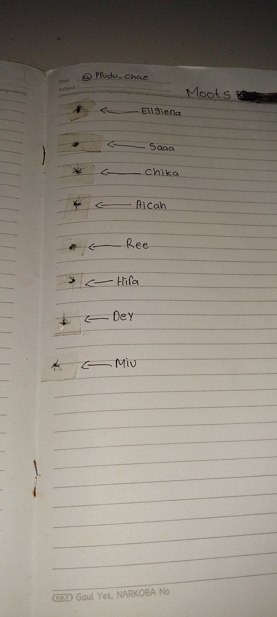 𝒚𝒂𝒓𝒂𝒂—⁠☆𝒪𝒹𝑒 𝓉𝑜 𝐿𝑜𝓋𝑒 🩵໒꒱ tweet media