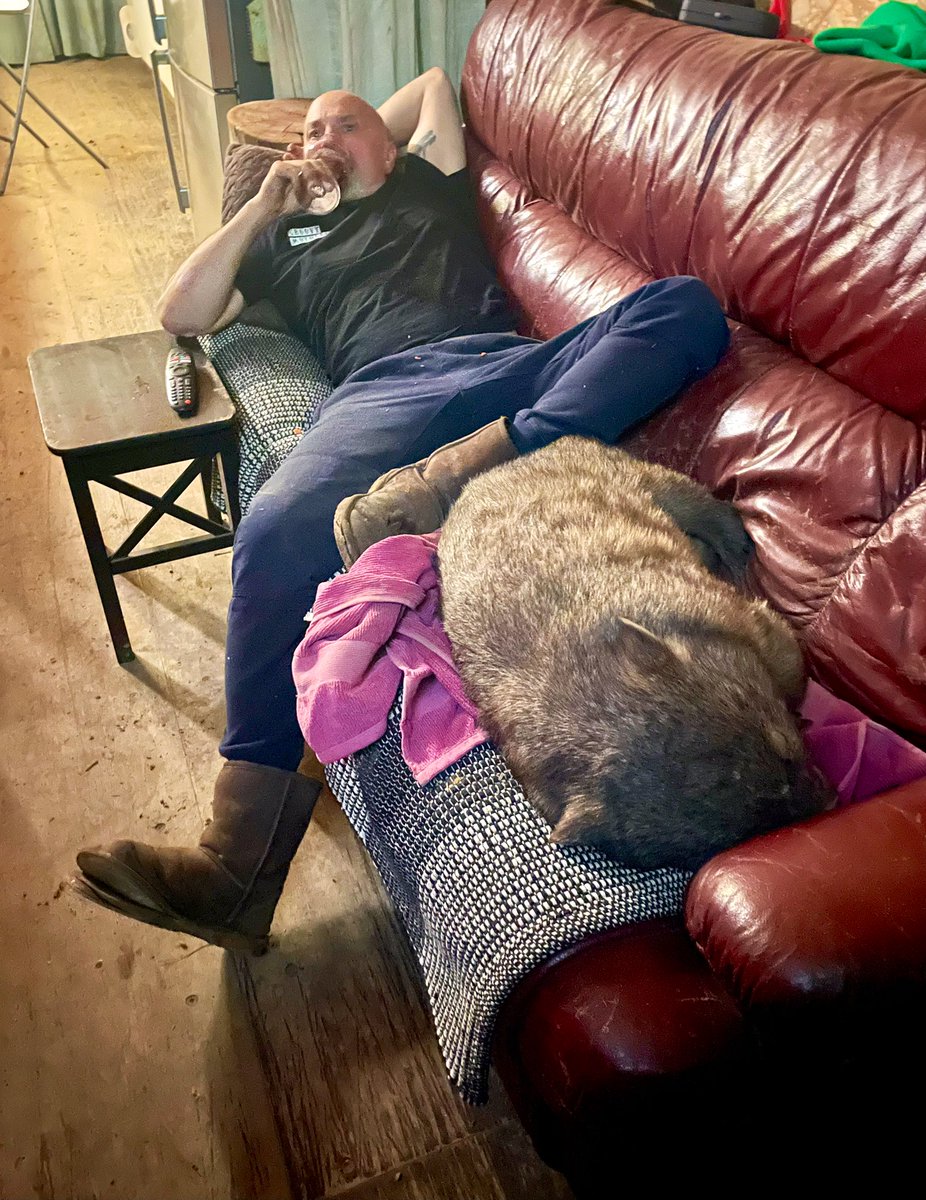 ak215's tweet image. 帰省中の問題児🐾

#元保護　#ブル