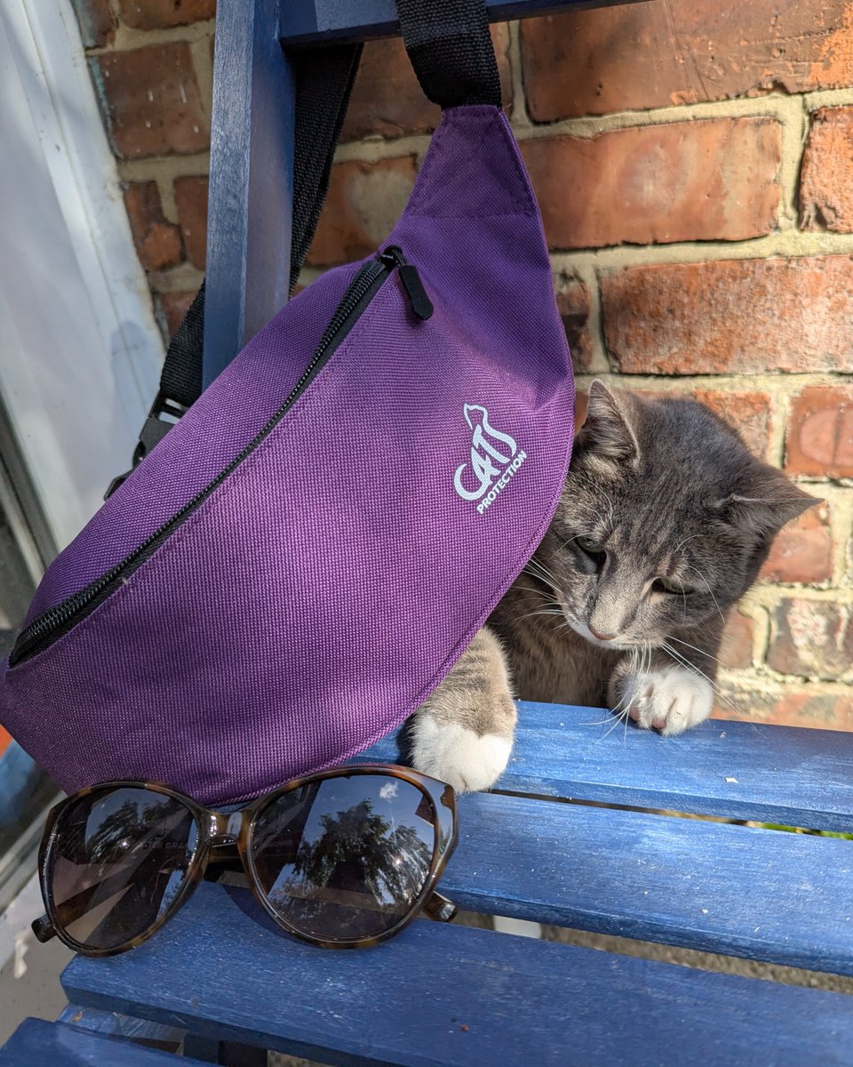 CatsWarrington's tweet image. The Big Summer Roam walking challenge is here! Choose your target distance to complete your way in the month of August, all for cats in Warrington. Sign up and receive an exclusive Cats Protection bum bag to sport in style while you roam: cats.org.uk/bigsummerroam #CatsofWarrington