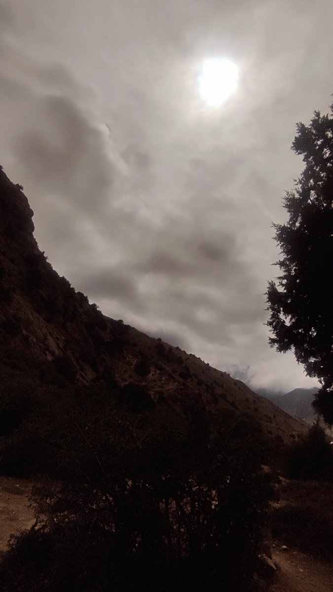 بهشت اونور
من اینورم
از همیشه غمگین‌ترم
من از همیشه بد بین‌ترم