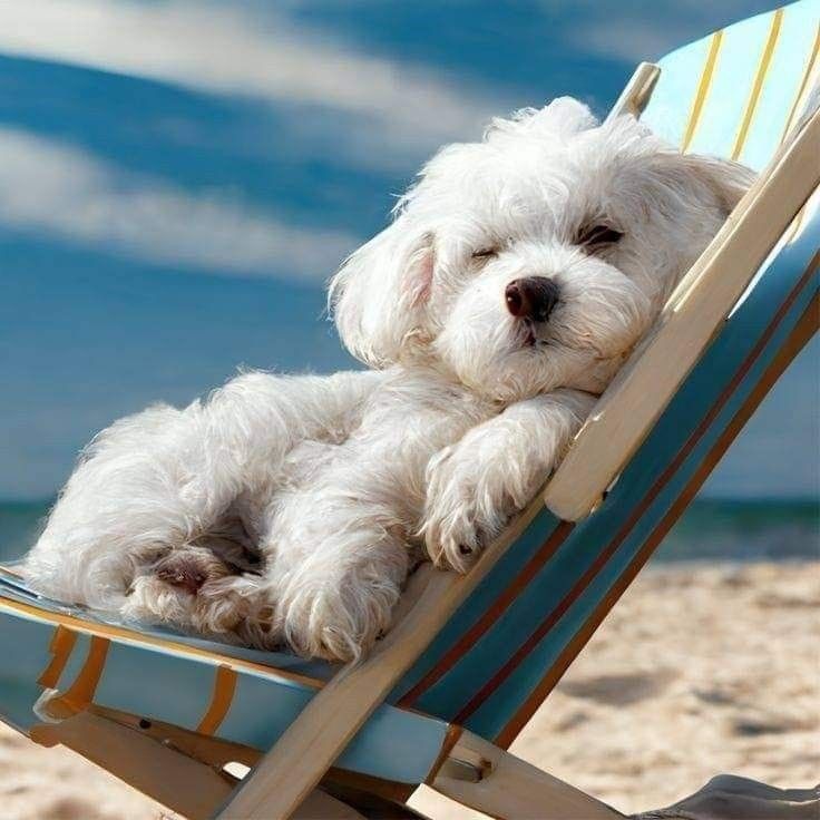 Weekend..