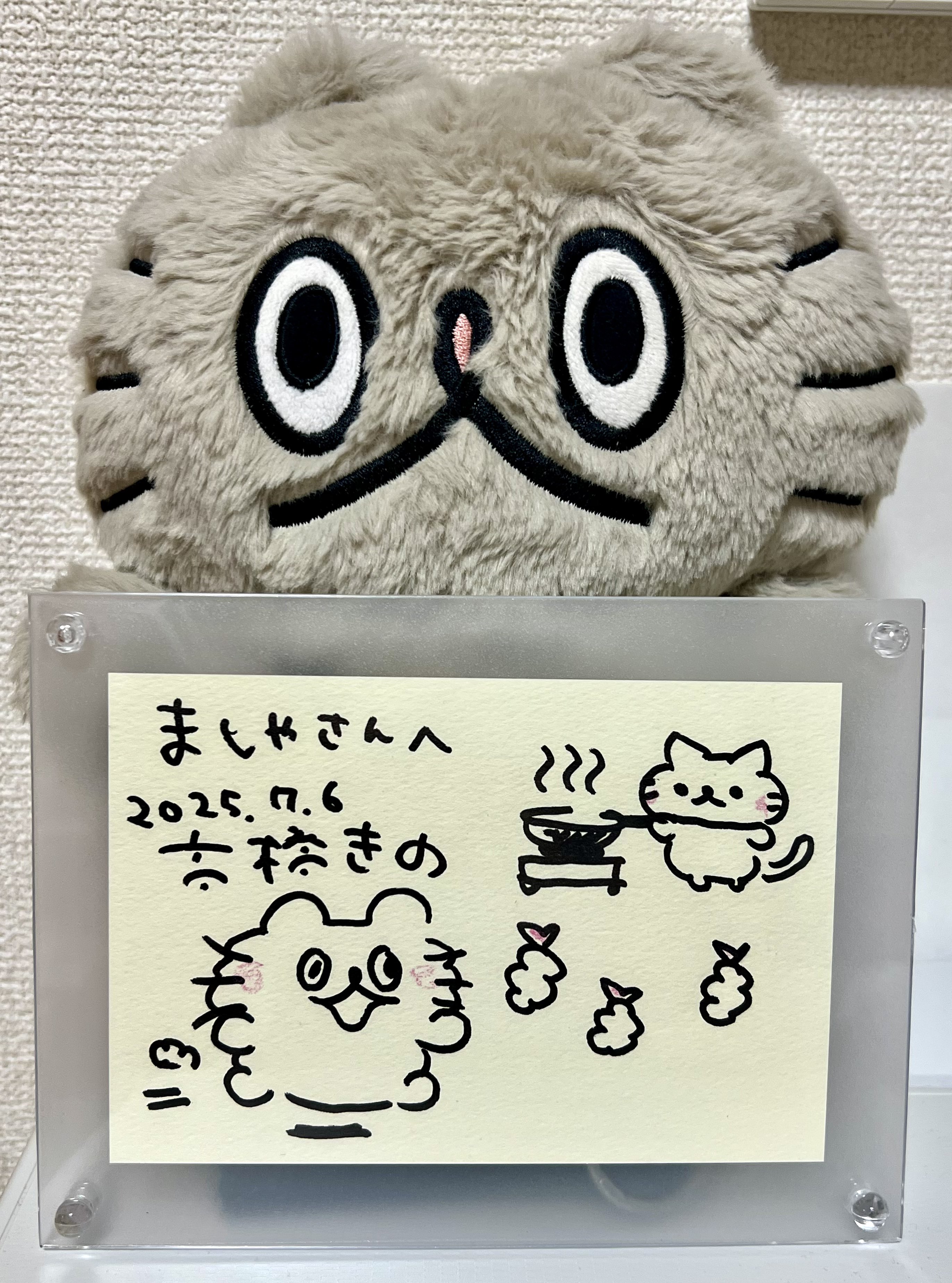 うちの猫ぶーちゃんです　 公式】ねこのぶーちゃん (@neko_no_boo) / X
