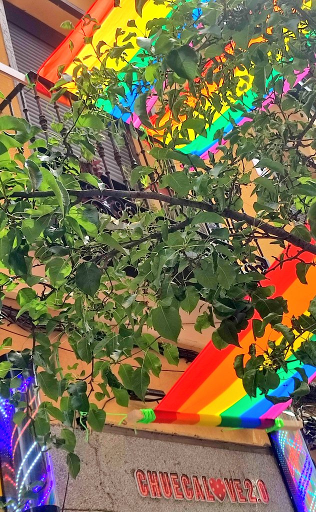 __NoirBlacK's tweet image. Everyday is....🖤💜💙💚💛🧡❤

#Chueca

📸 BY Blacky