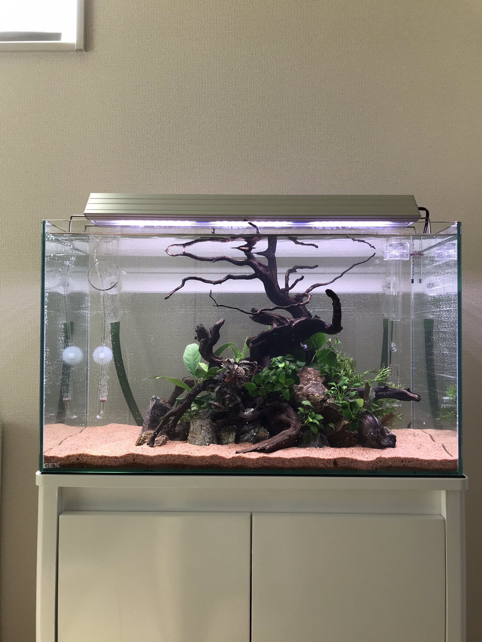 水槽 TenNobu 楽天市場】山崎実業（ヤマザキジツギョウ）水槽横収納ボックス