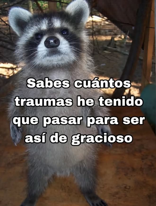 roberto arellan tweet media