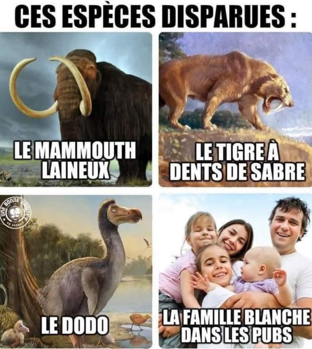 Et cela commence à m’énerver, mais à m’énerver…
Je me suis surpris à dire à mon épouse « je crois que je vais changer d’alarme, visiblement ce n’est pas pour nous ».