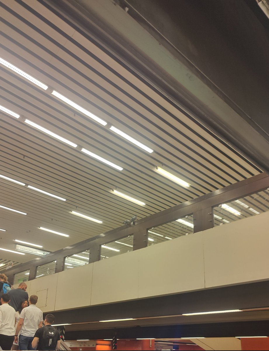 German Pigeons in the Underground for <a href="/Schubes17/">Mike Schubert</a>