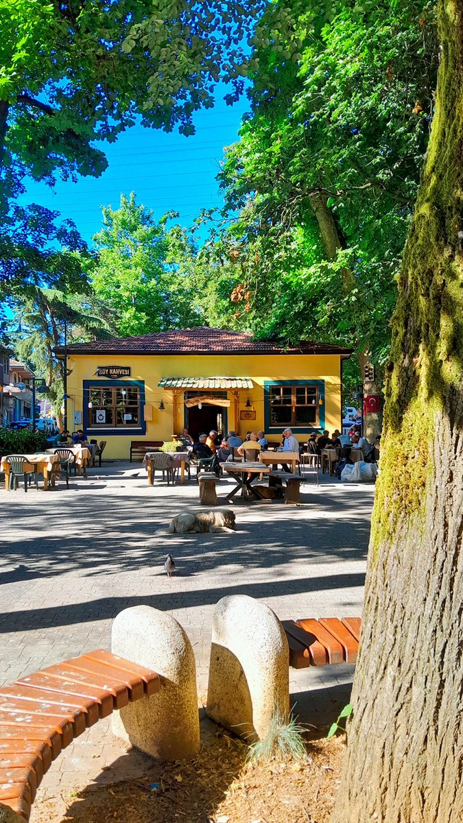 🌿 Beykoz, Akbaba Köyü 

#beykoz #akbabaköyü #beykozköyleri #istanbulgezilecekyerler #istanbulgezisi <a href="/Beykoz_Bld/">Beykoz Belediyesi</a>
<a href="/ilkdefagdyrm/">İlk Defa Gidiyorum</a>