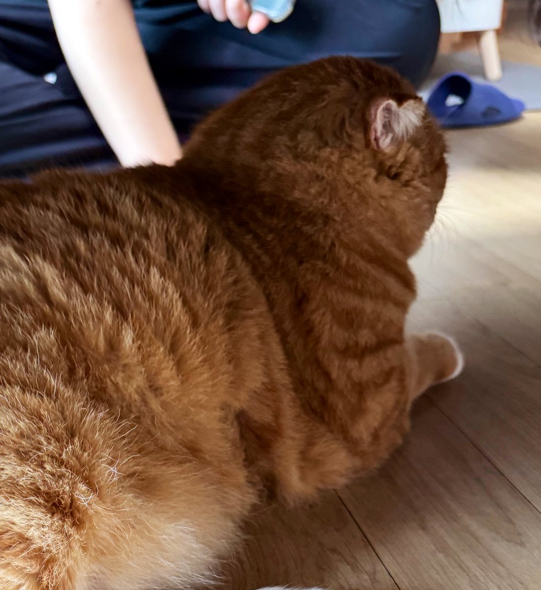 남기옵 동산 너무 동그라시다. 😊