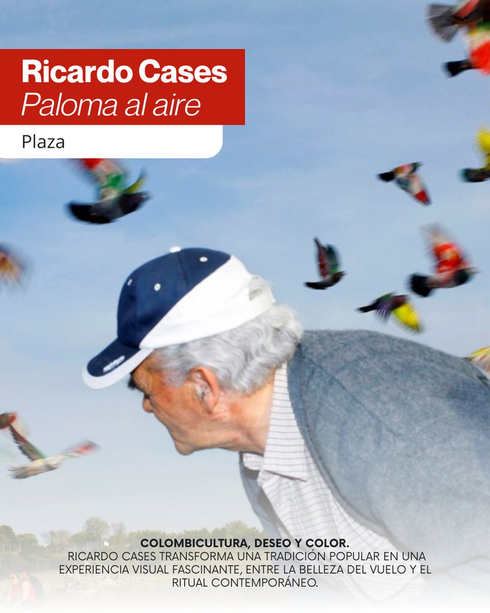 🎨 Tres miradas, tres lenguajes, tres formas de entender el arte, que ahora mismo puedes visitar en el Centro Niemeyer.

Ven a descubrirlas y sumérgete en una experiencia única.

#CentroNiemeyer #Exposiciones #Arte #Fotografía #Escultura #CulturaAsturiana