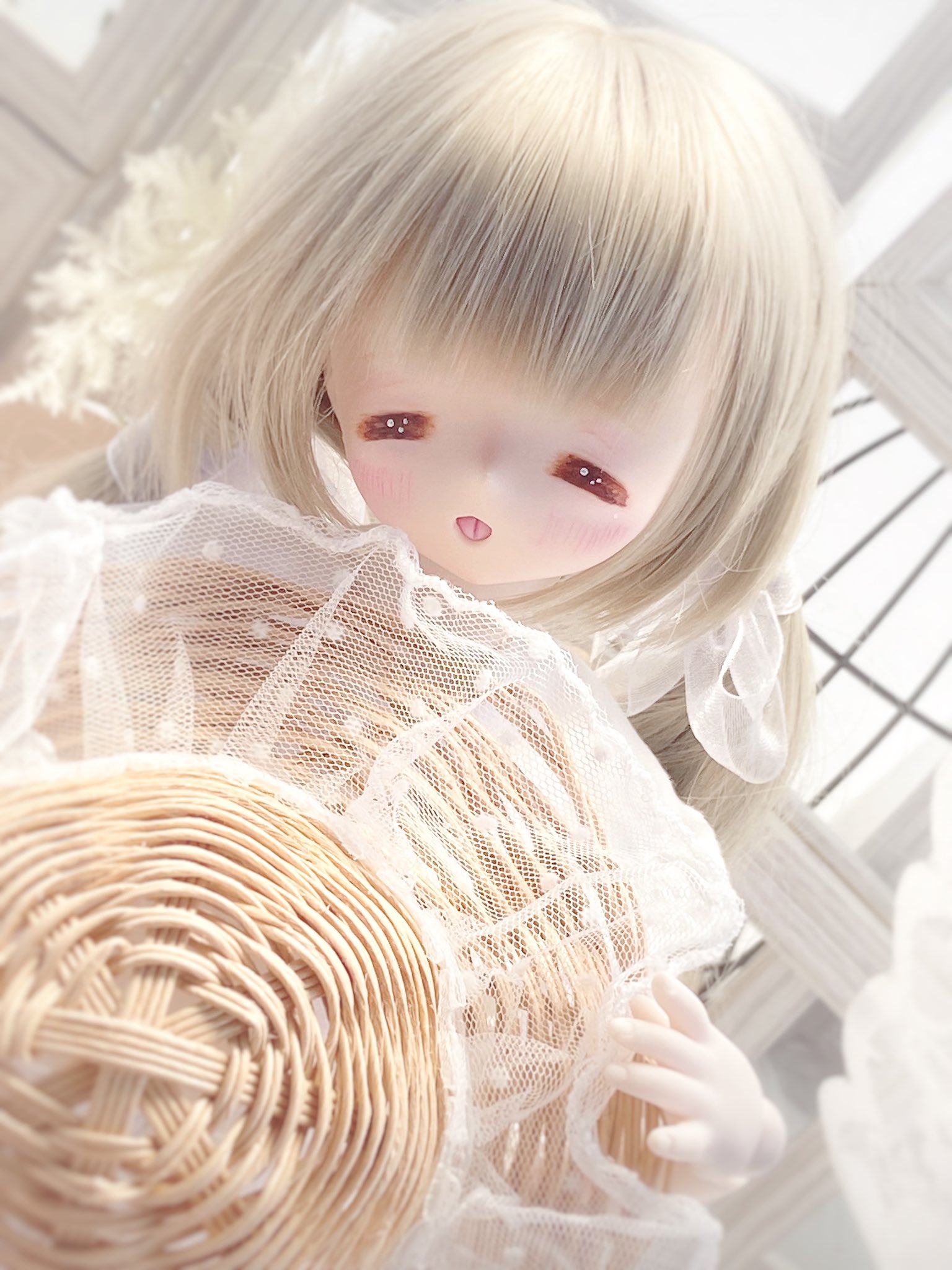⟡꒰ঌ しらゆき ここ ໒꒱⟡.· on X: 