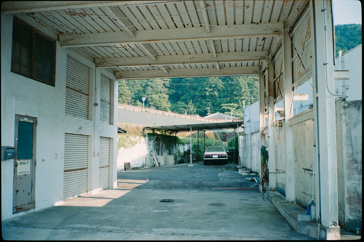 35mm🎞️ #ナツラボ