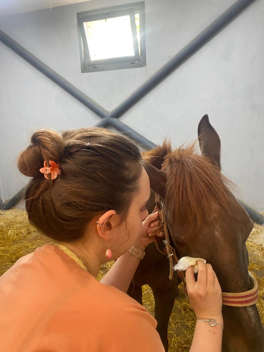 Türkiyeli değil, Türk Veteriner Hekimleriyiz.