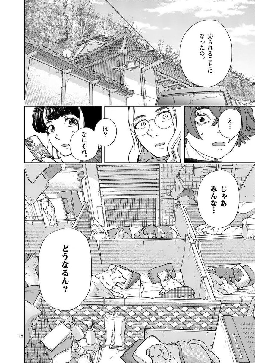 家がなくなる大量のイヌ…どうやって救う? 