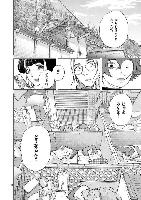 家がなくなる大量のイヌ…どうやって救う? 