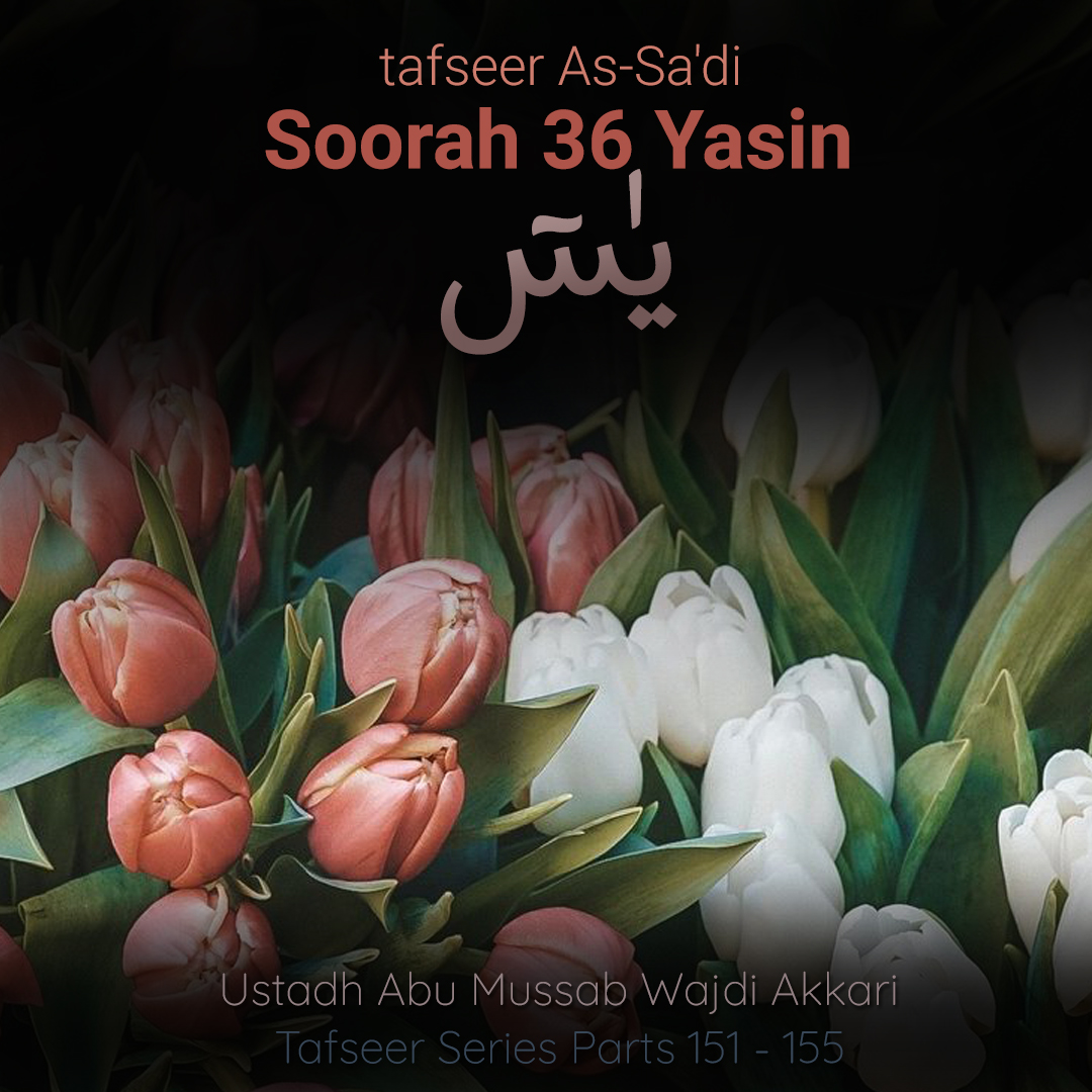 thblackSeed's tweet image. Quran 036 - Surah Yasin - Tafseer As-Sadi - Ustadh Abu Mussab Wajdi Akkari - Parts 151-155
soundcloud.com/understandingi…
