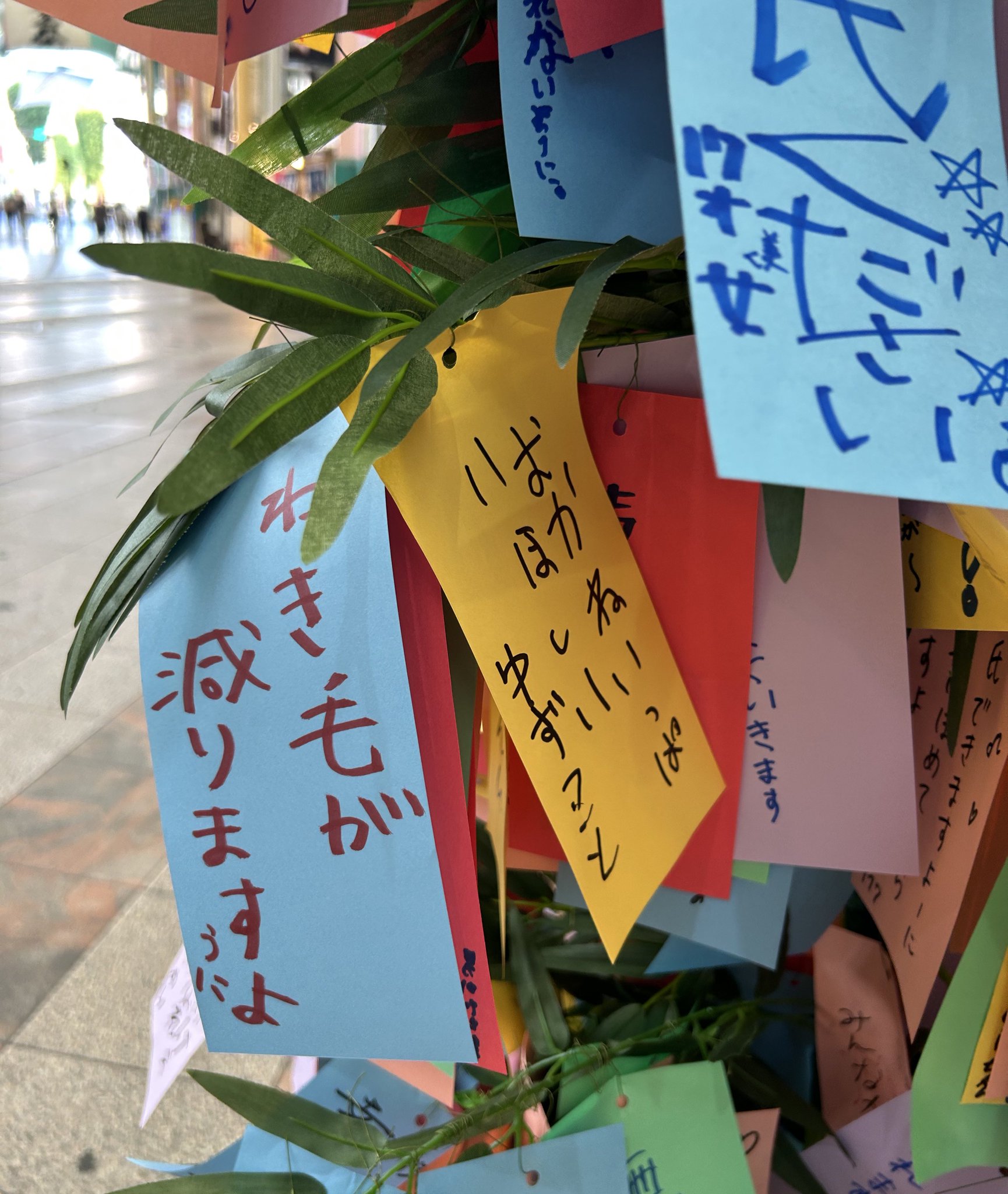 いただいた物なので、大事にしてくれる人に譲ります ゆずこと！！ on X: 