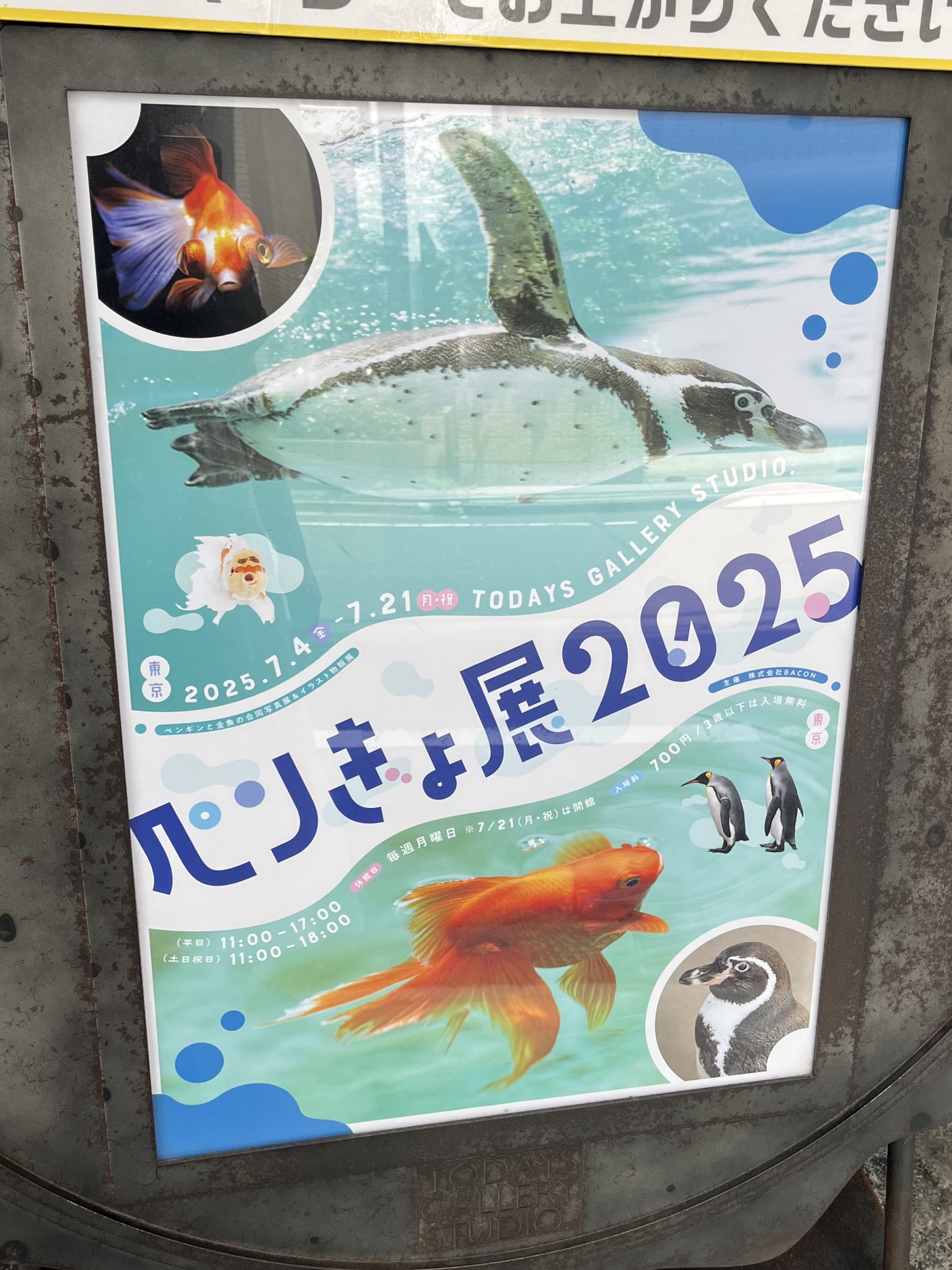 原画 デザイン画 ペンギン 言葉の棘 #64 佐藤周作 on X: 