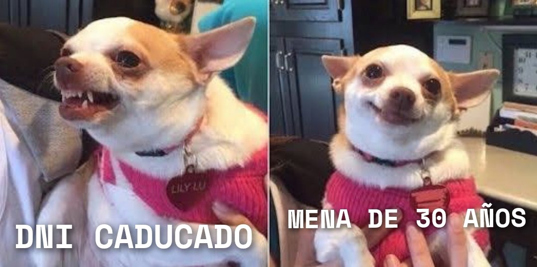 La documentación es un poco como todo