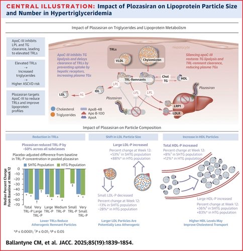 Effect of Targeting ApoC-III With Plozasiran on Lipoprotein Particle Size and Number in Hypertriglyceridemia

Plozasiran induced reductions in apoC-III and showed potentially favorable quantitative and qualitative changes in lipoproteins as assessed by NMR in patients with