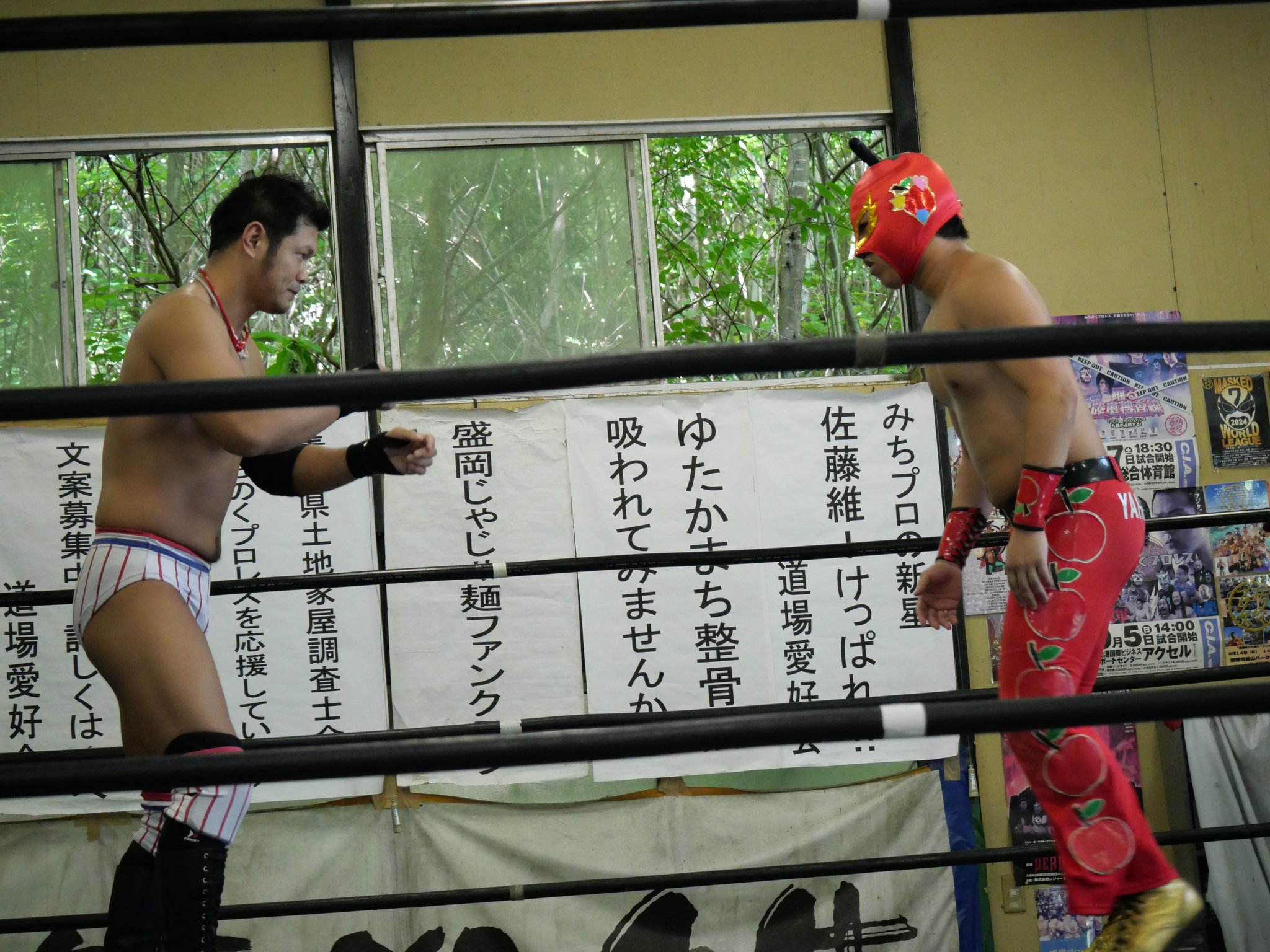 みちのくプロレス 日向寺塁 コスチューム みちプロ みちのくプロレス 日向寺塁選手 コスチューム みちプロ