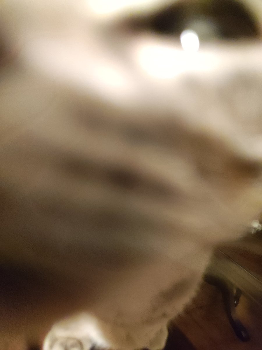 WaitIsThatZ's tweet image. wiwiwi wiwiwi
wiwi *sniff*
wiwiwi
wiwiwi wiwi wiwi *sniff sniff*
wiwi wiwi