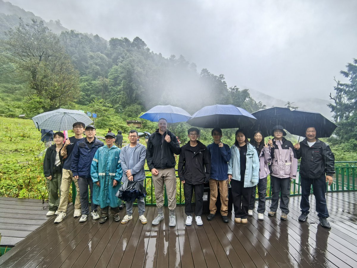 ccgrueter's tweet image. Revisiting the species that defined my PhD years. So good to see the black-and-white #snubnosedmonkeys again in the mountains of Yunnan! @IntPrimate