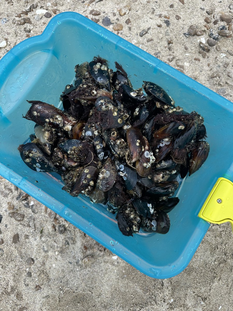 Ruslan Samovarov tweet media