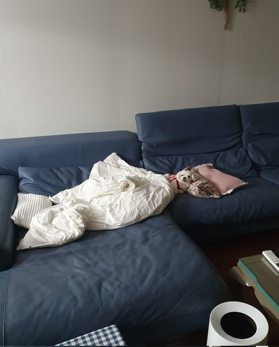 너 왜 혼자 자고있었어
종일 찾았어🥺