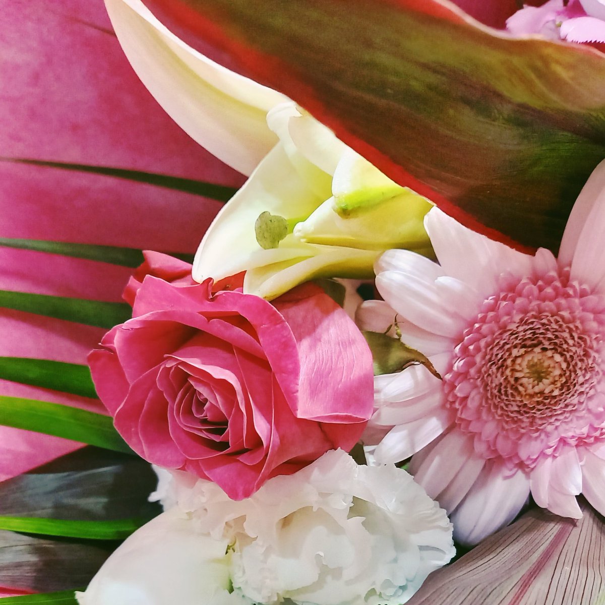 espr___'s tweet image. 誕生日に花束をくれる夫