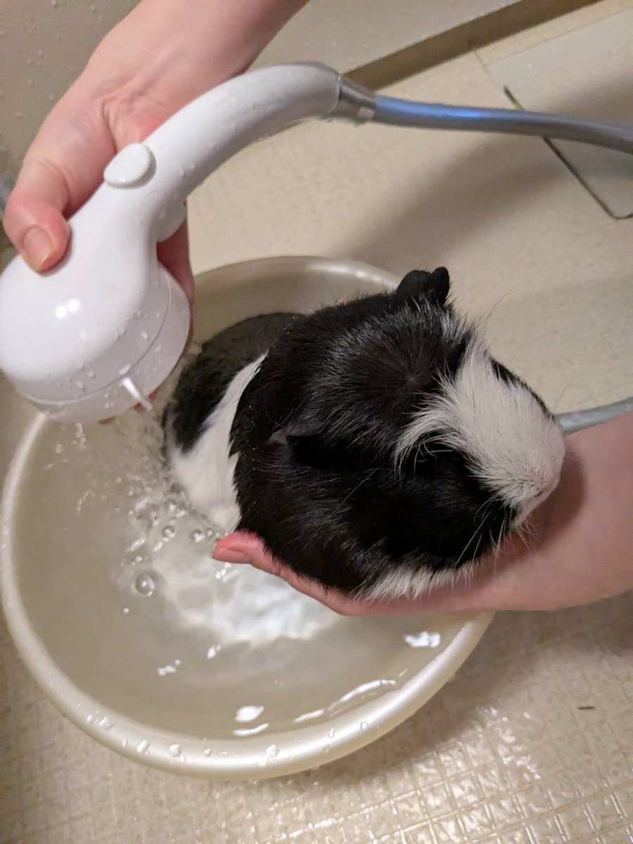 morupanda's tweet image. 久しぶりのお風呂でした✨