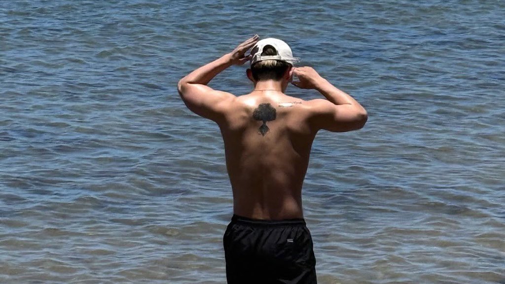 coupsistt's tweet image. svt in their nsfw era is NOT for the weak